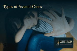 Types of assault cases