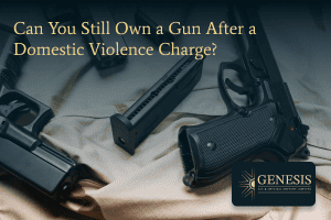 Can you still own a gun after a domestic violence charge
