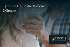 Types of domestic violence offences