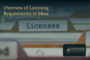 Overview of licensing requirements in Mesa