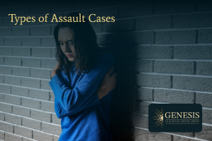Tyoes of assault cases