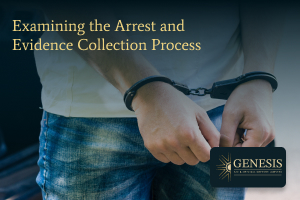 Examining the arrest and evidence collection process